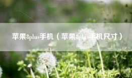 苹果8plus手机（苹果8plus手机尺寸）
