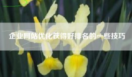 企业网站优化获得好排名的一些技巧