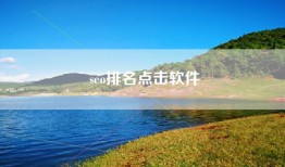 seo排名点击软件