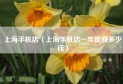 上海手机店（上海手机店一年能赚多少钱）