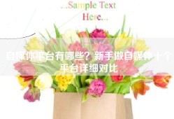 自媒体平台有哪些？新手做自媒体十个平台详细对比
