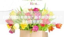 自媒体平台有哪些？新手做自媒体十个平台详细对比