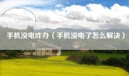手机没电咋办（手机没电了怎么解决）