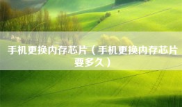手机更换内存芯片（手机更换内存芯片要多久）