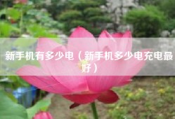 新手机有多少电（新手机多少电充电最好）