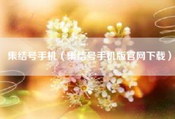 集结号手机（集结号手机版官网下载）