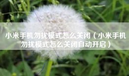 小米手机勿扰模式怎么关闭（小米手机勿扰模式怎么关闭自动开启）