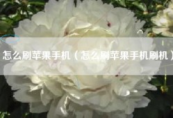 怎么刷苹果手机（怎么刷苹果手机刷机）