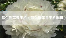 怎么刷苹果手机（怎么刷苹果手机刷机）
