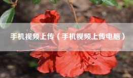 手机视频上传（手机视频上传电脑）