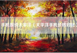 手机报价太平洋（太平洋手机价格对比）
