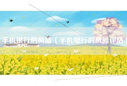 手机银行的风险（手机银行的风险评估）