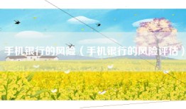 手机银行的风险（手机银行的风险评估）