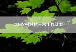 2024农村驻村干部工作计划