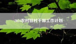 2024农村驻村干部工作计划