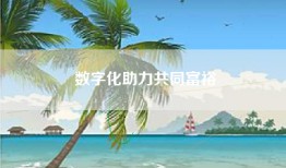 数字化助力共同富裕