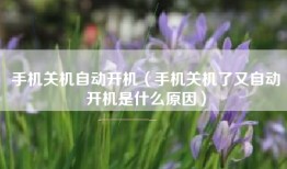 手机关机自动开机（手机关机了又自动开机是什么原因）