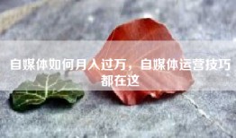 自媒体如何月入过万，自媒体运营技巧都在这