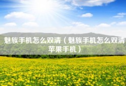 魅族手机怎么双清（魅族手机怎么双清苹果手机）