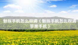 魅族手机怎么双清（魅族手机怎么双清苹果手机）
