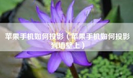 苹果手机如何投影（苹果手机如何投影到墙壁上）
