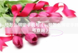 qq号怎么绑定手机号（qq号怎么绑定手机号查询）