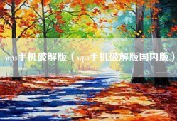 wps手机破解版（wps手机破解版国内版）