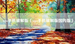 wps手机破解版（wps手机破解版国内版）
