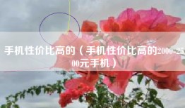 手机性价比高的（手机性价比高的2000-2500元手机）