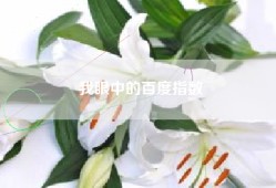 我眼中的百度指数