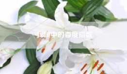 我眼中的百度指数