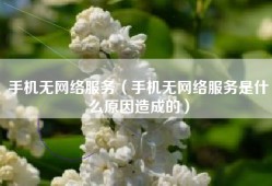 手机无网络服务（手机无网络服务是什么原因造成的）