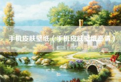手机皮肤壁纸（手机皮肤壁纸高清）