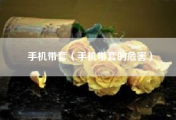 手机带套（手机带套的危害）