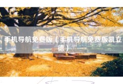手机导航免费版（手机导航免费版凯立德）