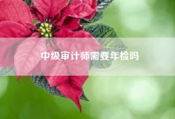 中级审计师需要年检吗
