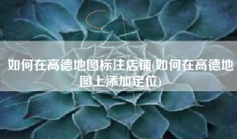 如何在高德地图标注店铺(如何在高德地图上添加定位)