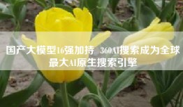 国产大模型16强加持  360AI搜索成为全球最大AI原生搜索引擎