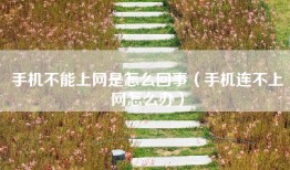 手机不能上网是怎么回事（手机连不上网怎么办）