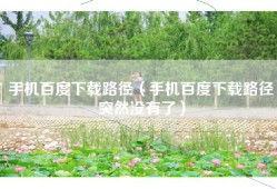 手机百度下载路径（手机百度下载路径突然没有了）