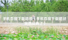 手机百度下载路径（手机百度下载路径突然没有了）