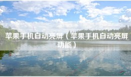苹果手机自动亮屏（苹果手机自动亮屏功能）