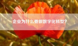 企业为什么要做数字化转型？