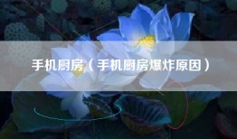 手机厨房（手机厨房爆炸原因）