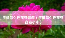 手机怎么连蓝牙音箱（手机怎么连蓝牙音箱小米）