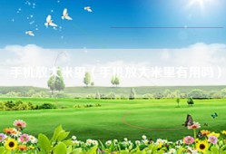 手机放大米里（手机放大米里有用吗）