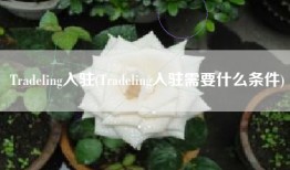 Tradeling入驻(Tradeling入驻需要什么条件)