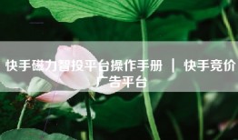 快手磁力智投平台操作手册 ｜ 快手竞价广告平台