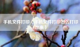 手机文件打印（手机文件打印怎么打印出来）