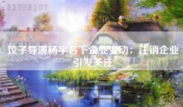 饺子导演杨宇名下企业变动：注销企业引发关注